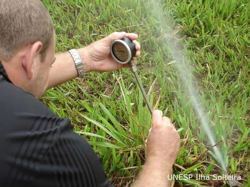 unesp_pos_2009 (98).JPG